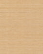 Ronald Redding Designs Maguey Sisal Biscotti Wallpaper