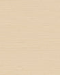 Ronald Redding Designs Maguey Sisal Buff Wallpaper