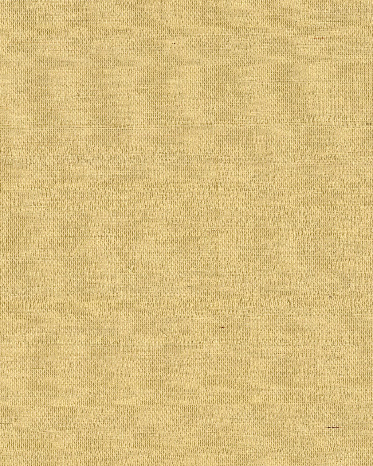 Ronald Redding Designs Maguey Sisal Straw Wallpaper