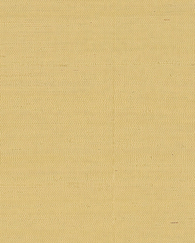 Ronald Redding Designs Maguey Sisal Straw Wallpaper