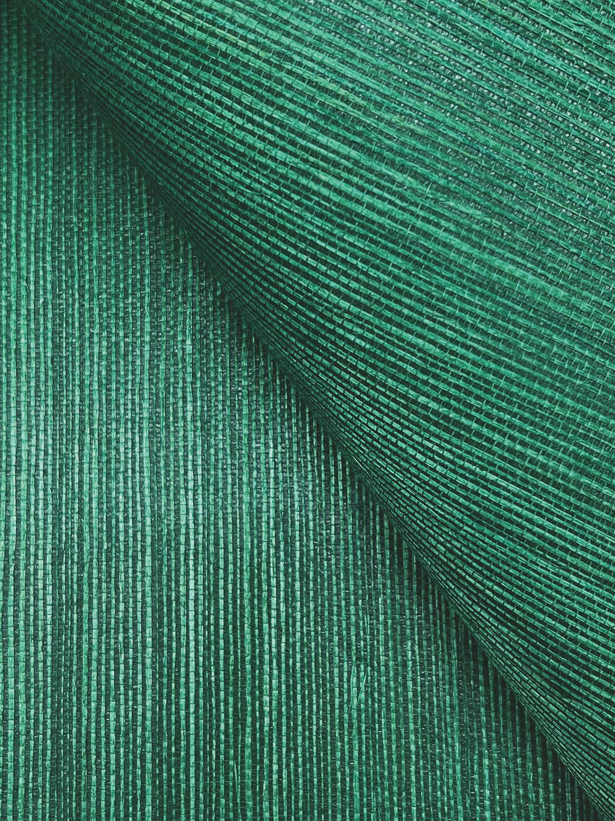 Ronald Redding Designs Maguey Sisal Jade Wallpaper