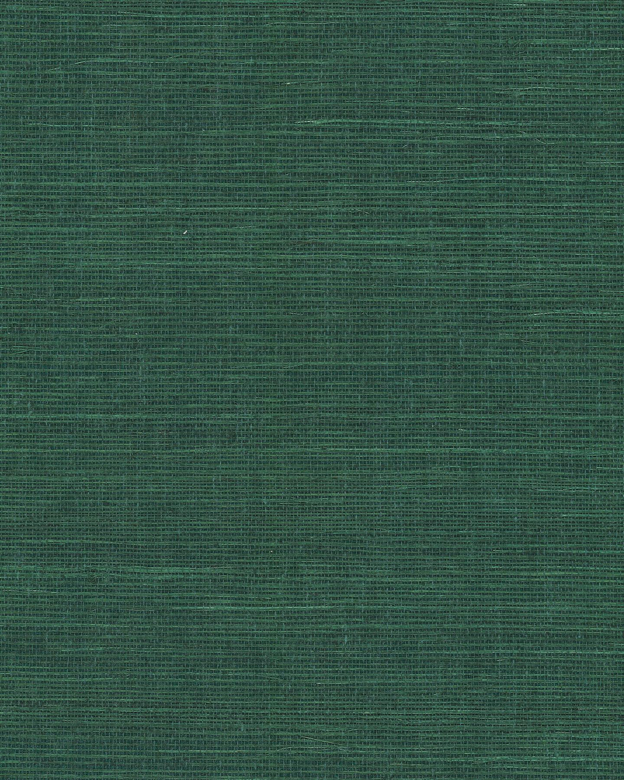 Ronald Redding Designs Maguey Sisal Forest Wallpaper