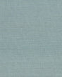 Ronald Redding Designs Maguey Sisal Dragonfly Wallpaper