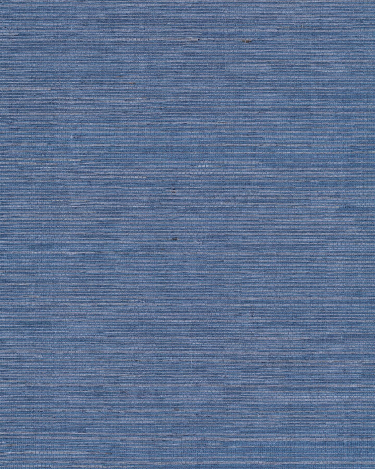 Ronald Redding Designs Maguey Sisal Bluebell Wallpaper