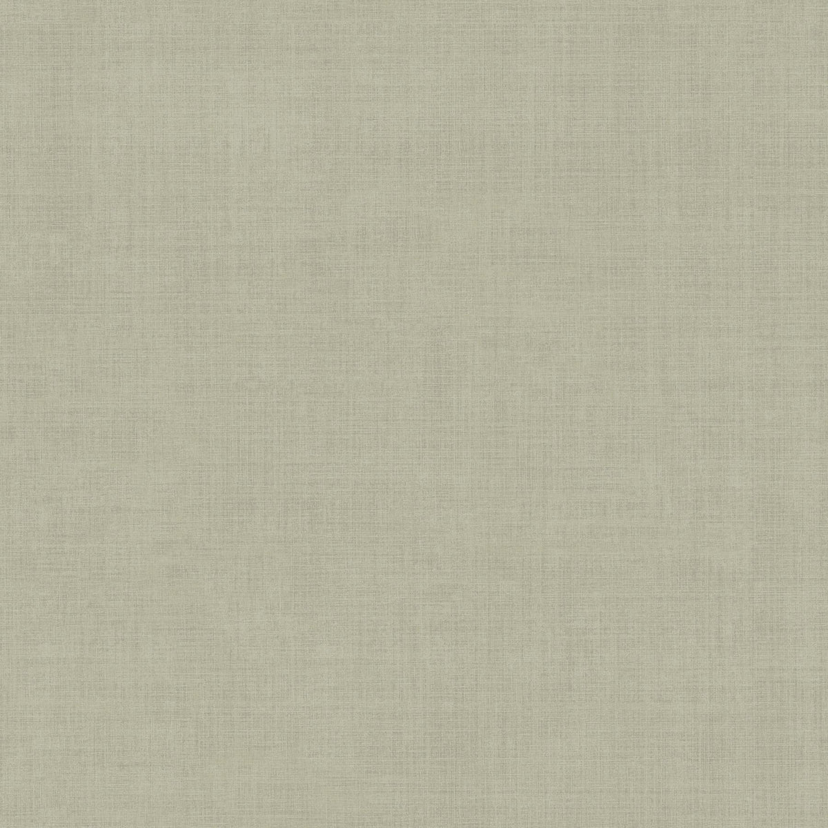 York Wallcoverings Pinje Green Smoke Wallpaper