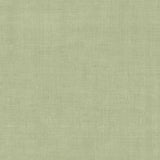 York Wallcoverings Varlov Light Green Wallpaper