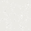 York Wallcoverings Stjarnhimmel Grey Wallpaper