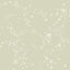 York Wallcoverings Stjarnhimmel Light Green Wallpaper