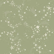 York Wallcoverings Stjarnhimmel Green Wallpaper