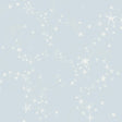 York Wallcoverings Stjarnhimmel Light Blue Wallpaper