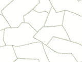 York Wallcoverings Suite Style Palm Wallpaper