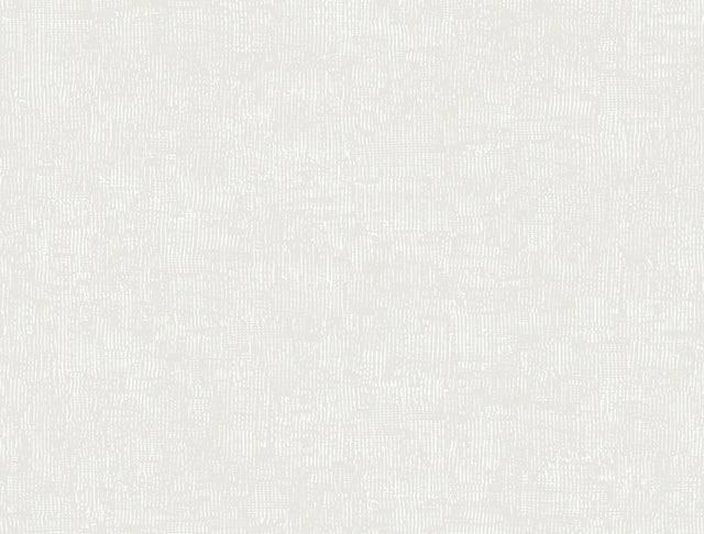 York Wallcoverings Trabadillo Plaster Salt Wallpaper