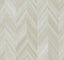 York Wallcoverings Seesaw Beige Wallpaper