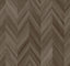 York Wallcoverings Seesaw Brown Wallpaper