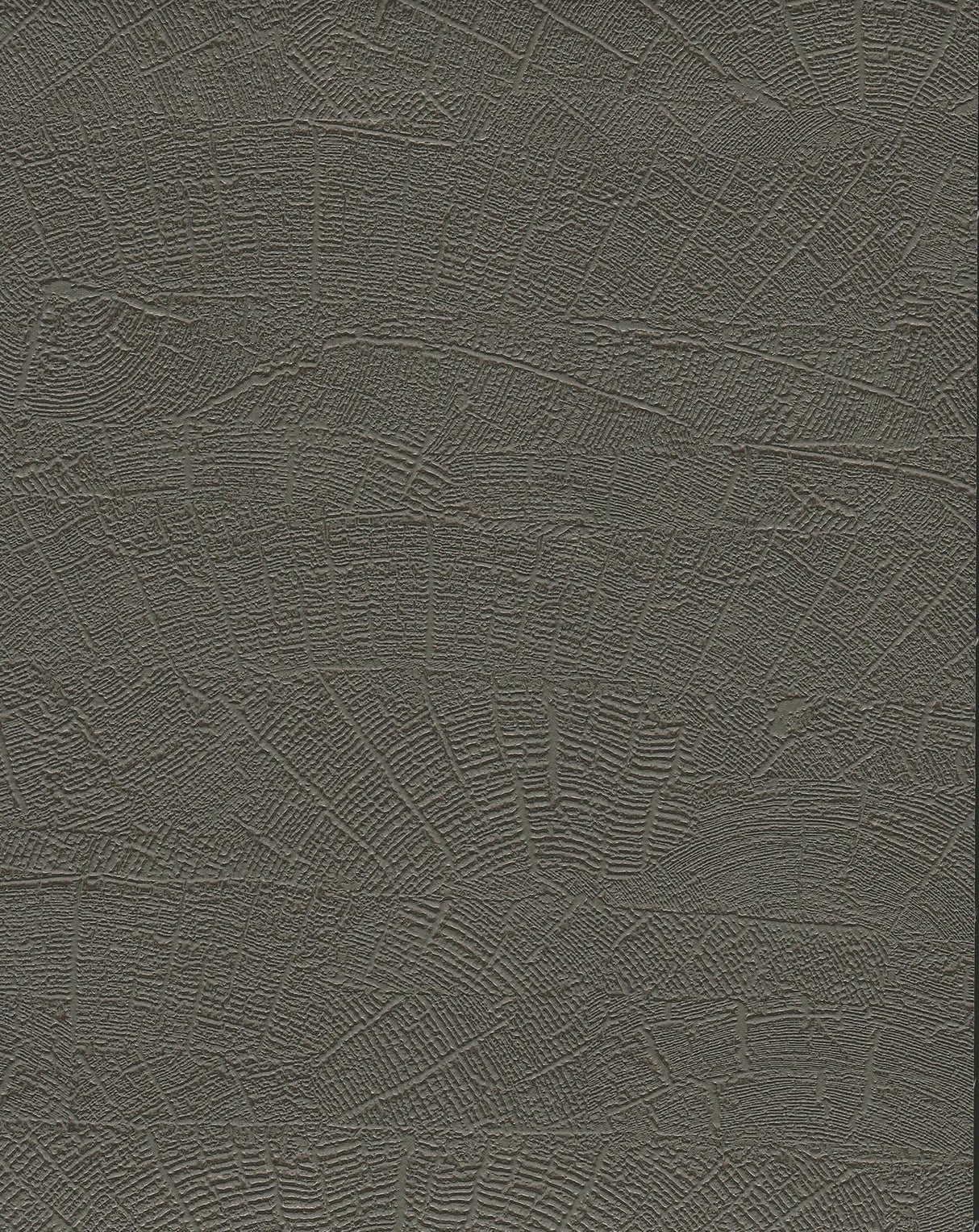 York Wallcoverings On Deck Grey & Brown Wallpaper