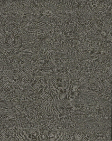 York Wallcoverings On Deck Grey & Brown Wallpaper