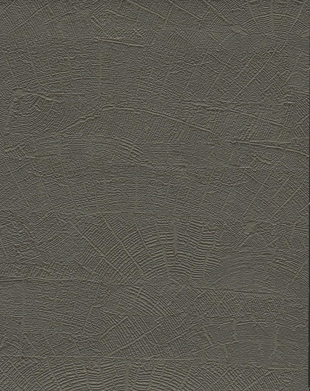 York Wallcoverings On Deck Grey & Brown Wallpaper