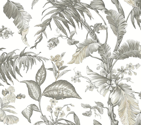 York Wallcoverings Fiji Garden Black & White Wallpaper