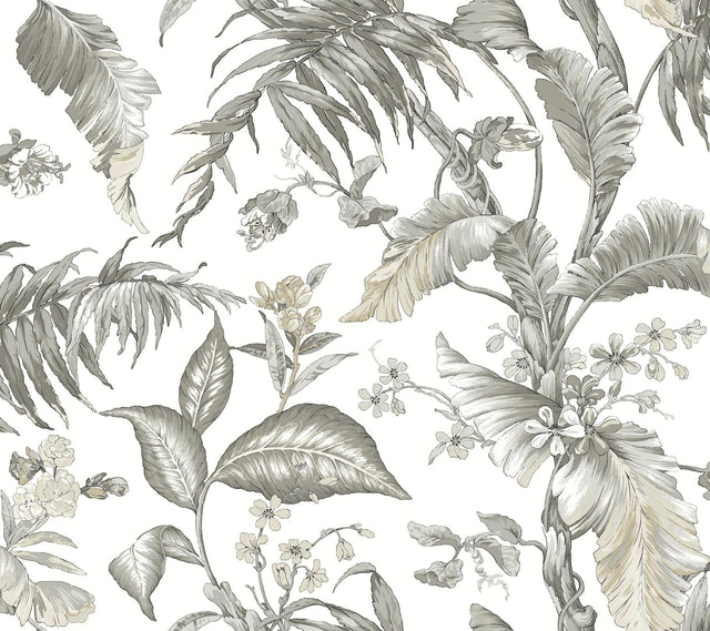 York Wallcoverings Fiji Garden Black & White Wallpaper