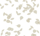 York Wallcoverings Inner Peace Champagne Peel & Stick Wallpaper