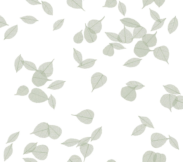 York Wallcoverings Inner Peace Sage Peel & Stick Wallpaper