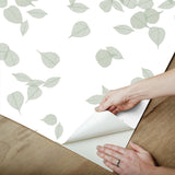 York Wallcoverings Inner Peace Sage Peel & Stick Wallpaper