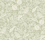 Rifle Paper Co. Pomegranate Pistachio Peel & Stick Wallpaper
