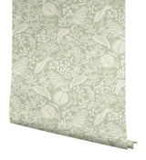 Rifle Paper Co. Pomegranate Pistachio Peel & Stick Wallpaper