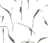 RoomMates Ivory Coast Black & Gold Wallpaper