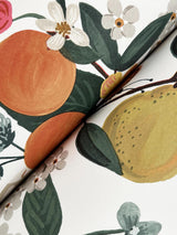 Rifle Paper Co. Flower Studies Rose Wallpaper