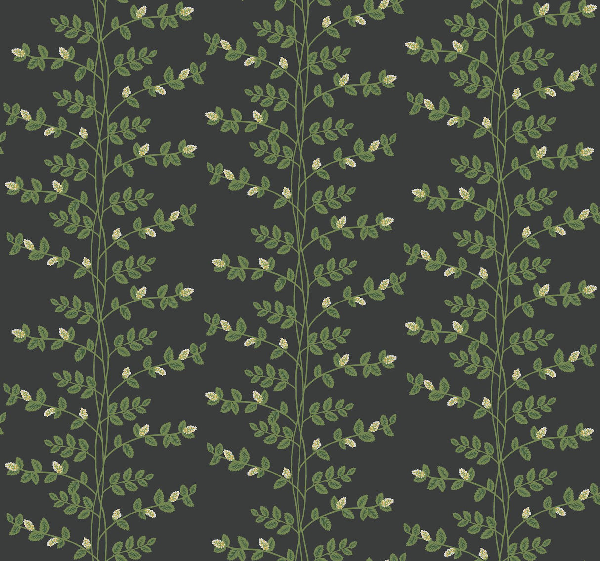 Rifle Paper Co. Climbing Vine Black Wallpaper