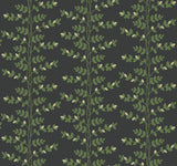 Rifle Paper Co. Climbing Vine Black Wallpaper
