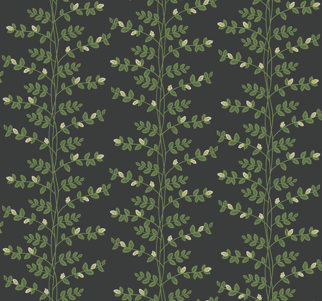 Rifle Paper Co. Climbing Vine Black Wallpaper