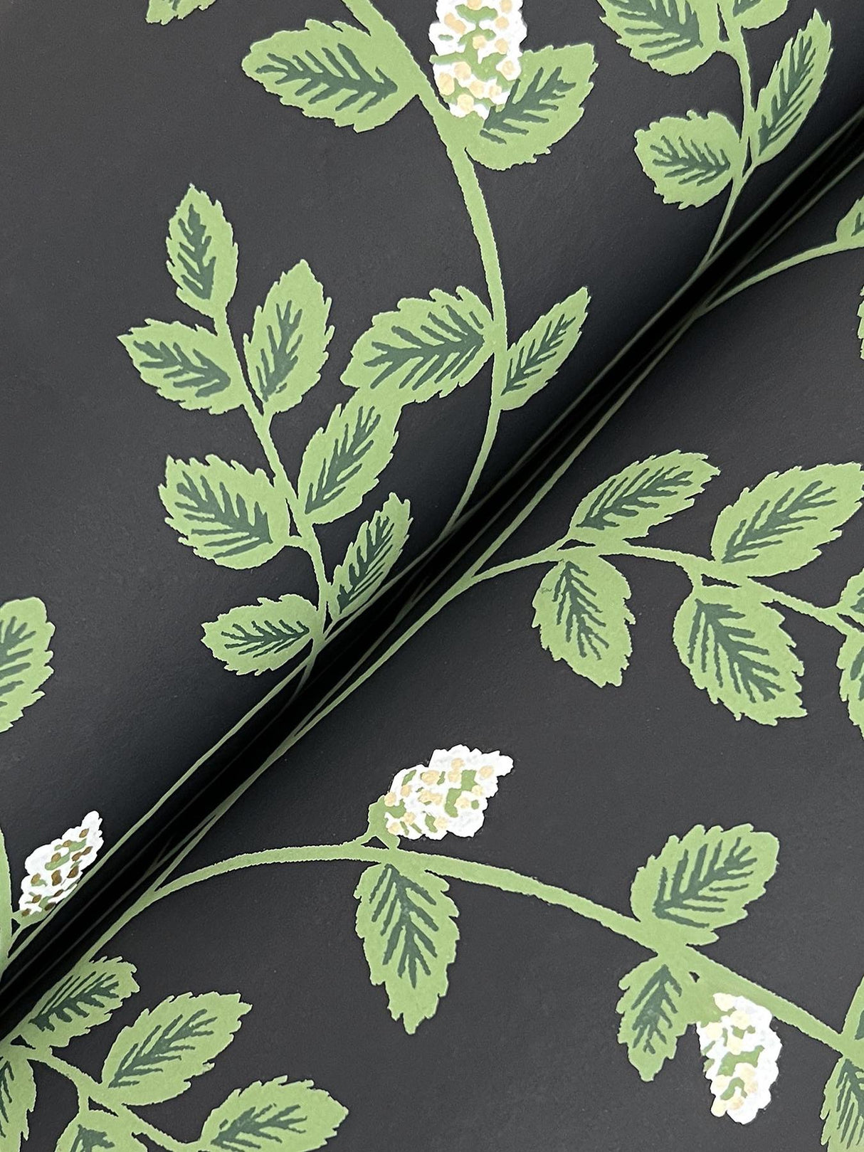 Rifle Paper Co. Climbing Vine Black Wallpaper