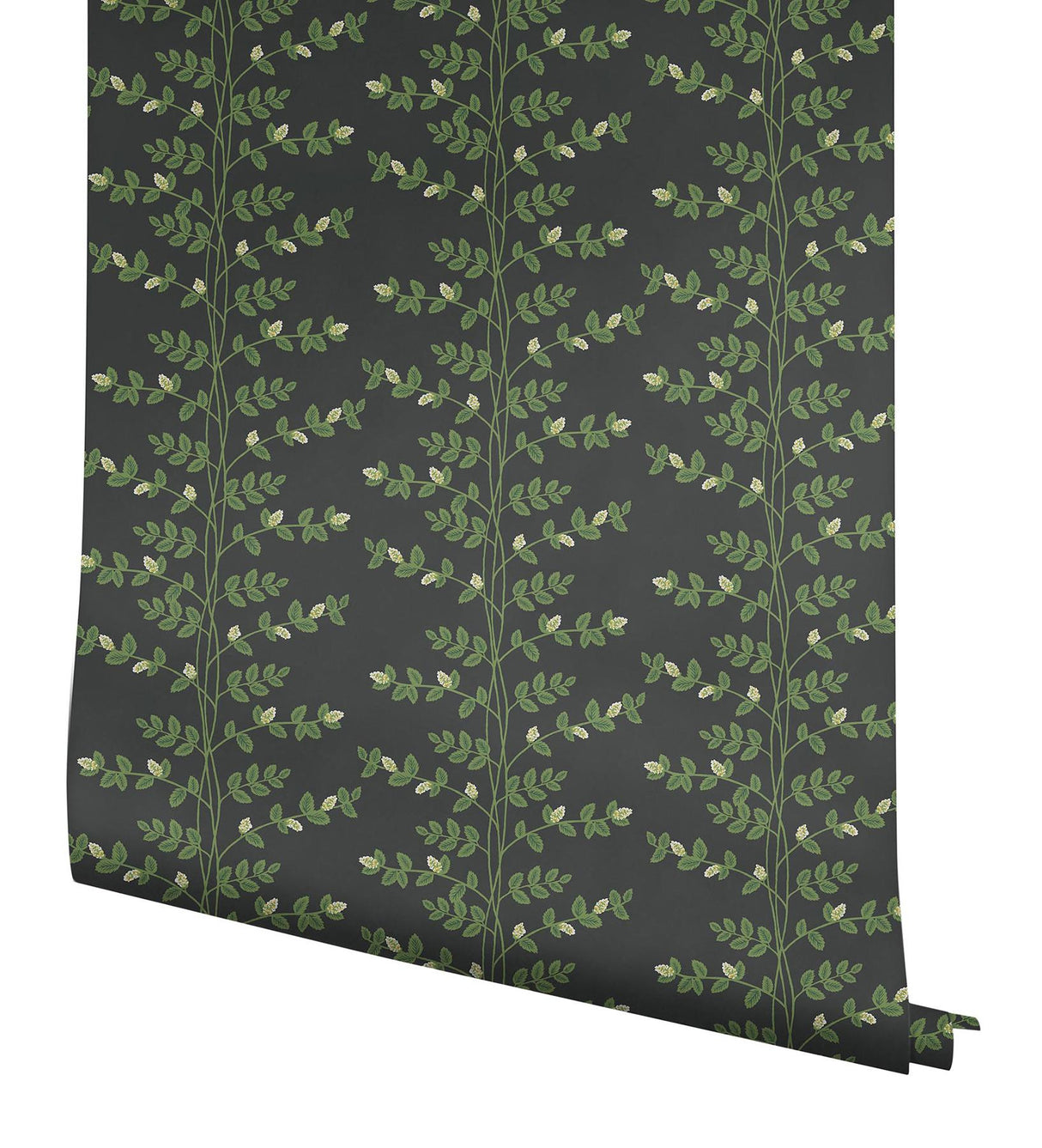 Rifle Paper Co. Climbing Vine Black Wallpaper