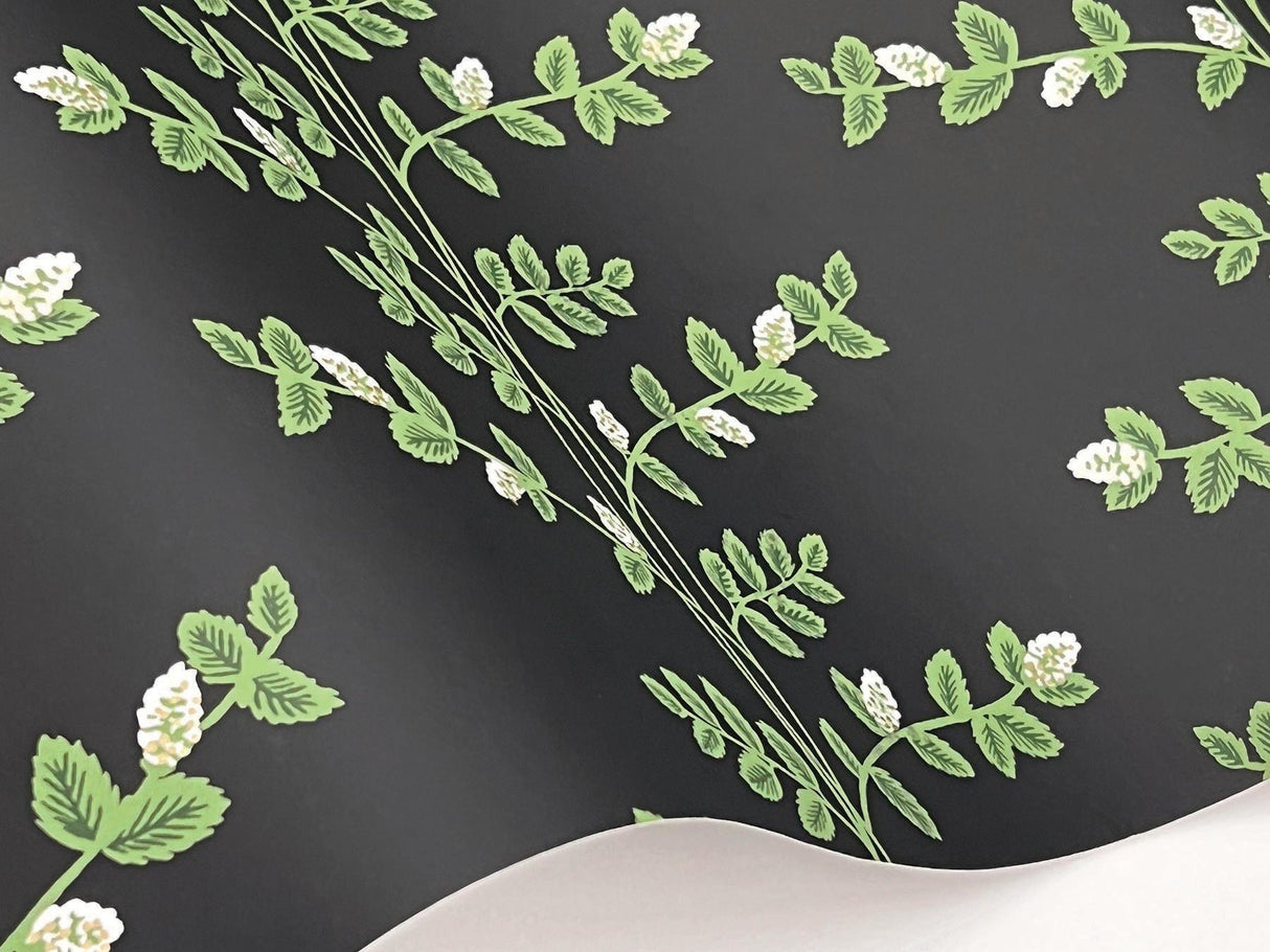 Rifle Paper Co. Climbing Vine Black Wallpaper