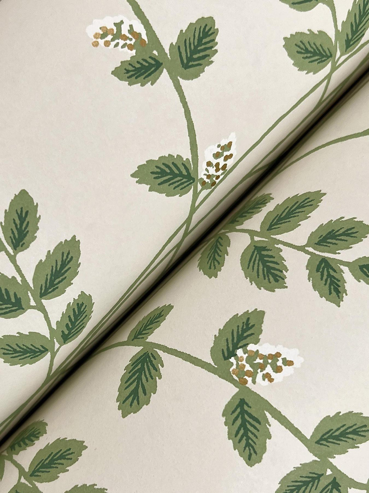 Rifle Paper Co. Climbing Vine Linen Wallpaper