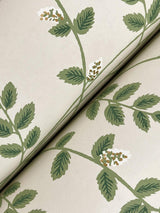 Rifle Paper Co. Climbing Vine Linen Wallpaper
