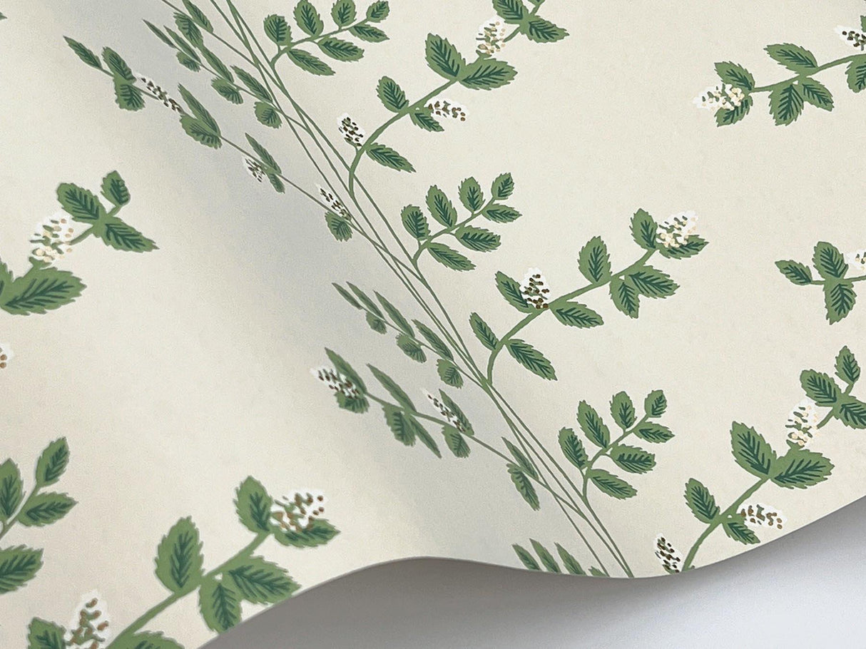 Rifle Paper Co. Climbing Vine Linen Wallpaper
