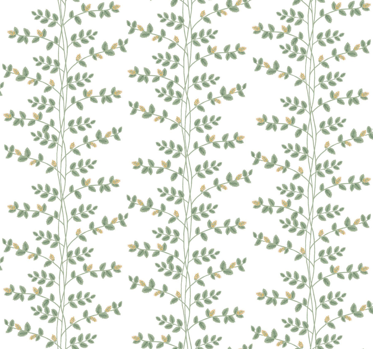 Rifle Paper Co. Climbing Vine Gold Wallpaper