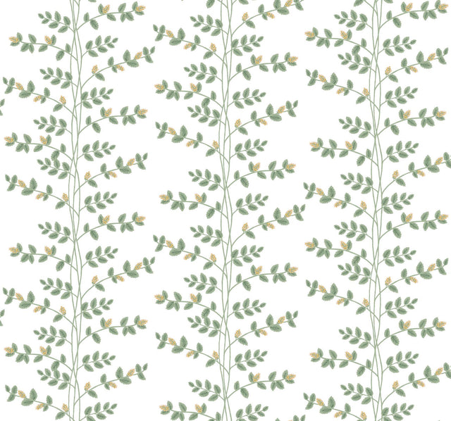Rifle Paper Co. Climbing Vine Gold Wallpaper