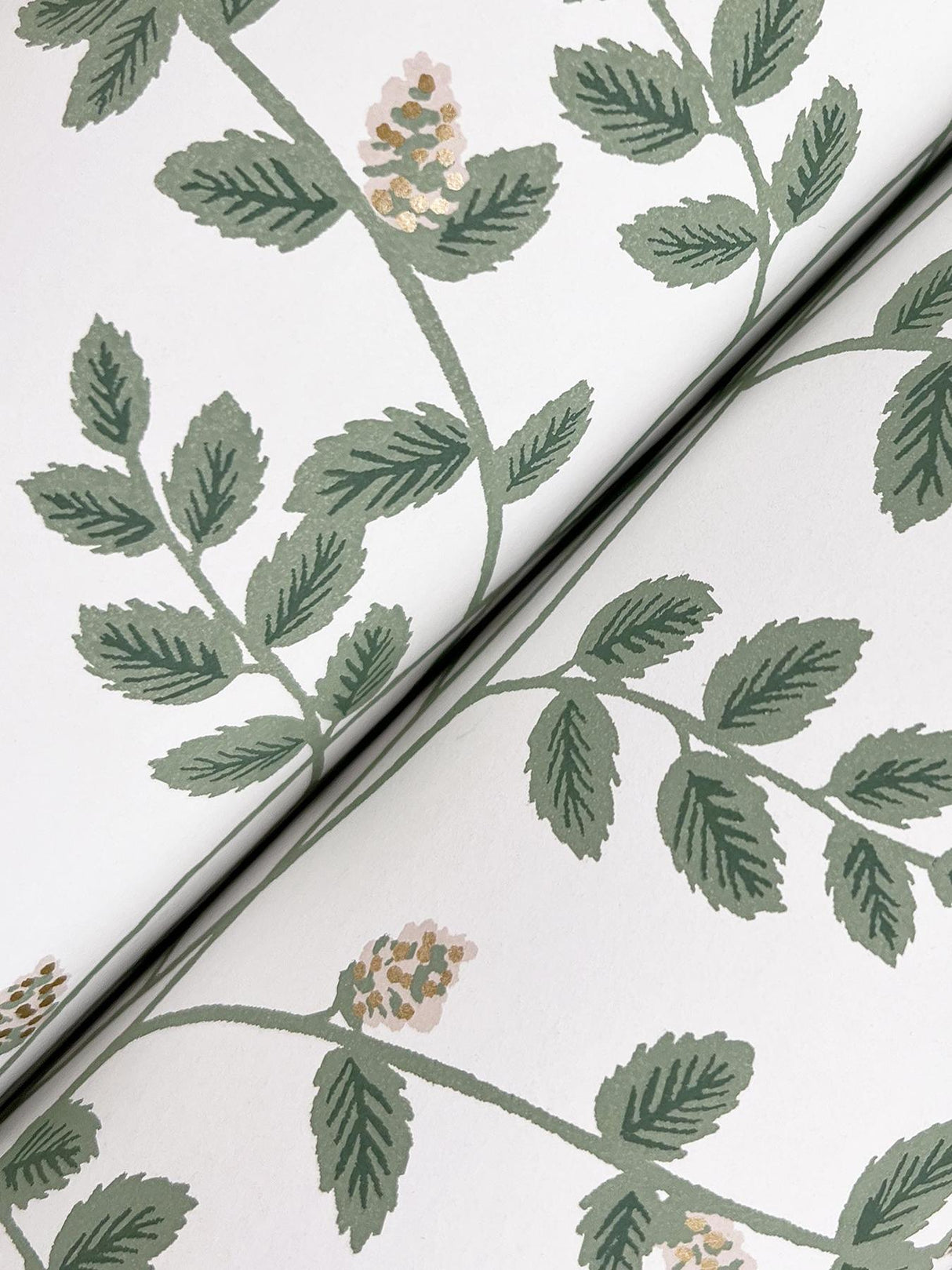Rifle Paper Co. Climbing Vine Gold Wallpaper