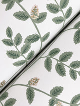 Rifle Paper Co. Climbing Vine Gold Wallpaper