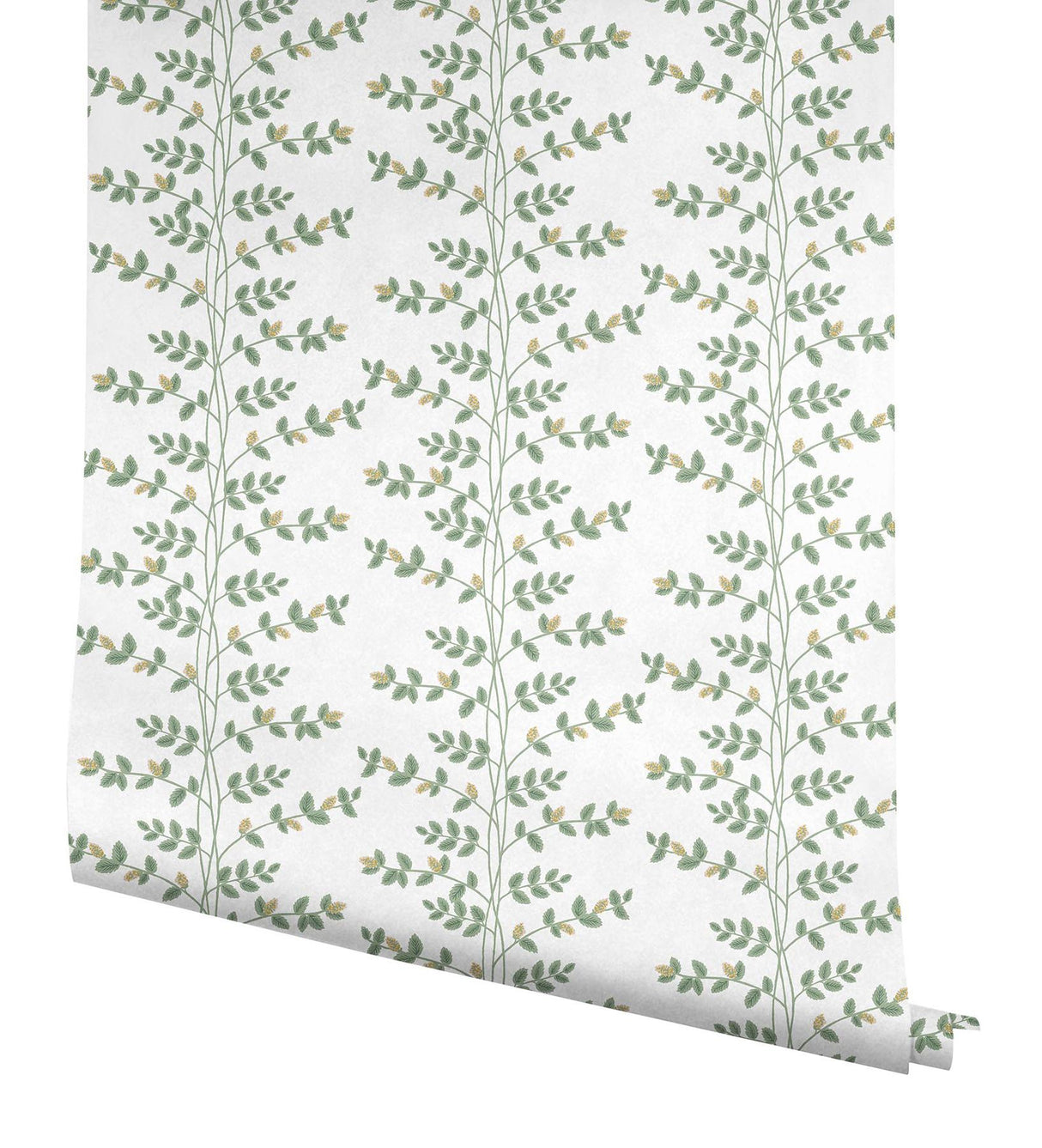 Rifle Paper Co. Climbing Vine Gold Wallpaper