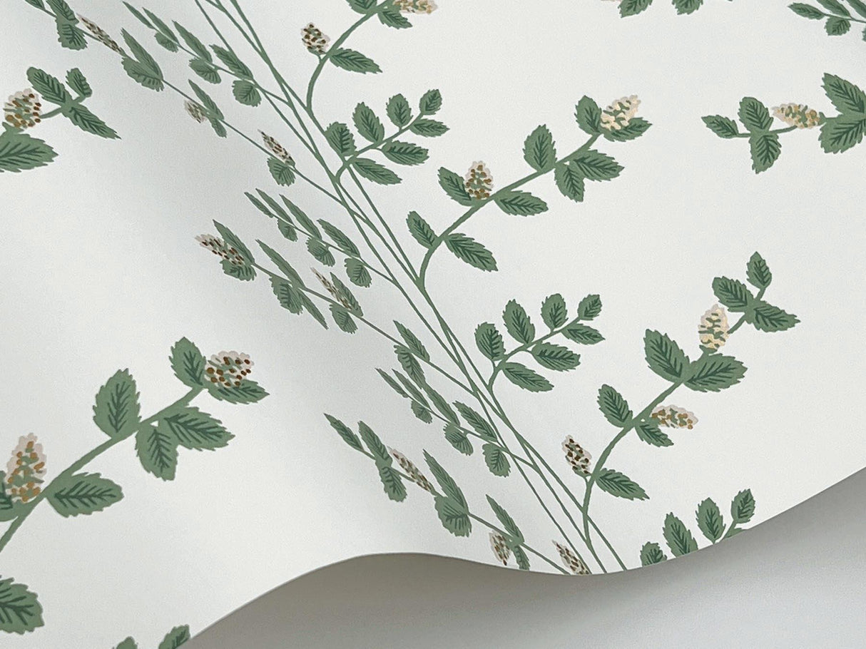 Rifle Paper Co. Climbing Vine Gold Wallpaper
