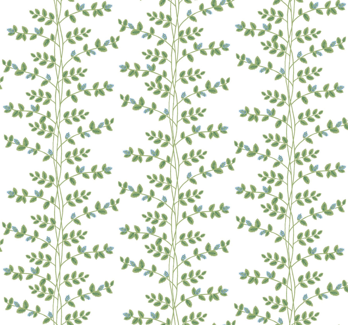 Rifle Paper Co. Climbing Vine Blue Wallpaper