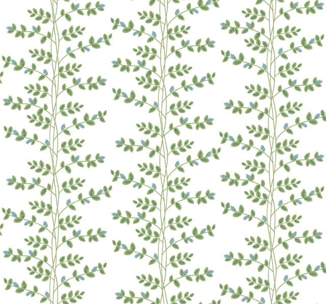 Rifle Paper Co. Climbing Vine Blue Wallpaper