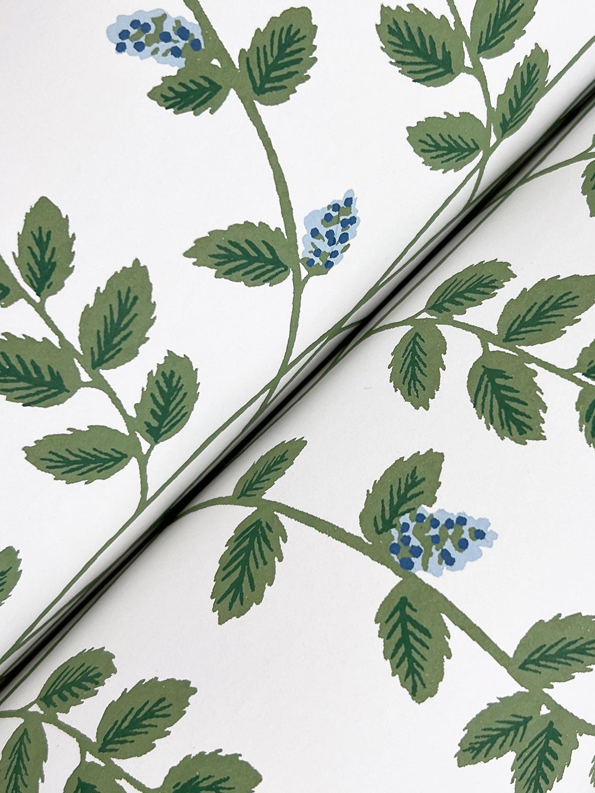 Rifle Paper Co. Climbing Vine Blue Wallpaper