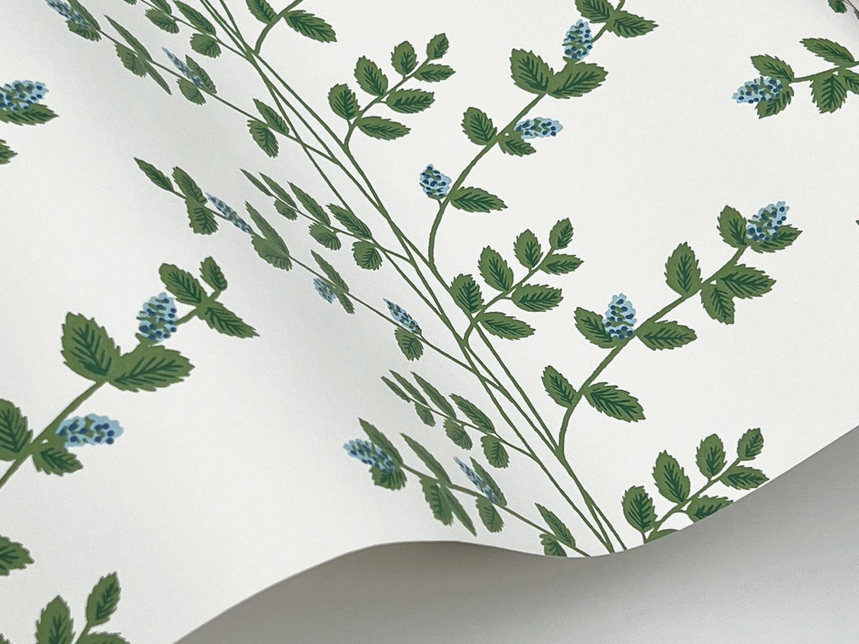 Rifle Paper Co. Climbing Vine Blue Wallpaper