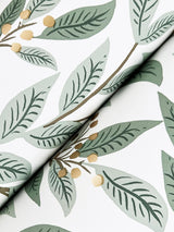 Rifle Paper Co. Willowberry Sage Wallpaper